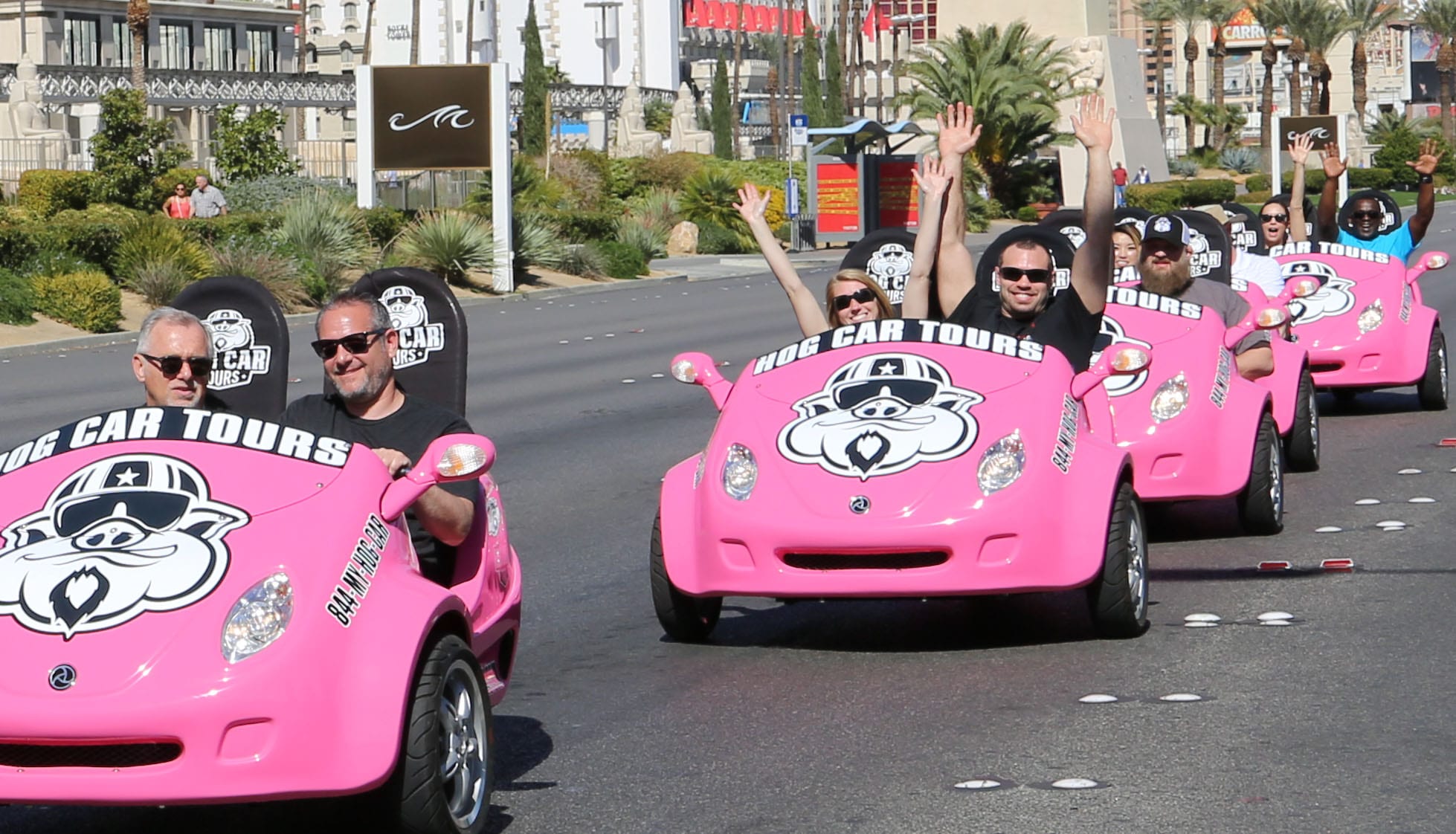 Hog Car Tours pink scooters